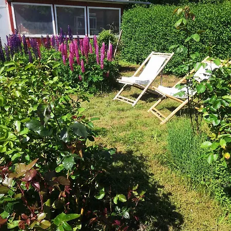 Family Near Beach, Town And Nature