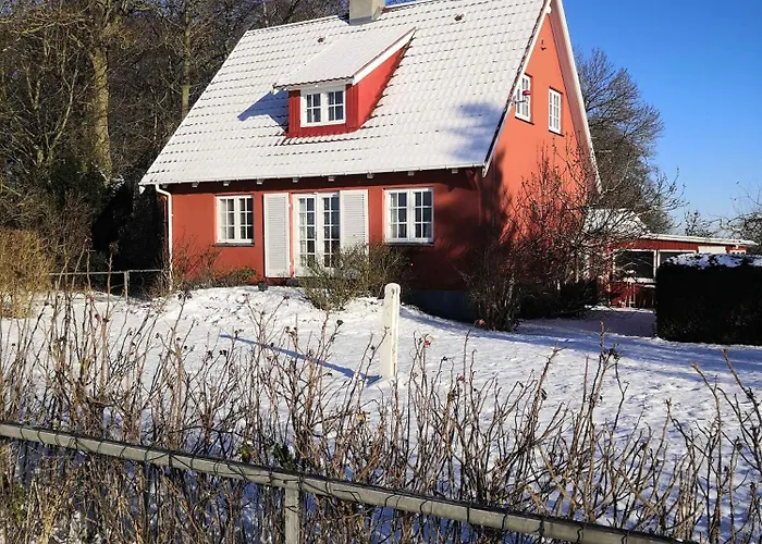 Family Near Beach, Town And Nature *